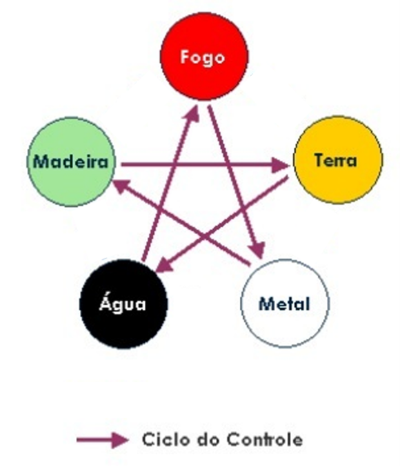 Elementos ( Agua/Fogo/Eletrico/Planta/Pedra/Metal/Fantasma/Psyquico )