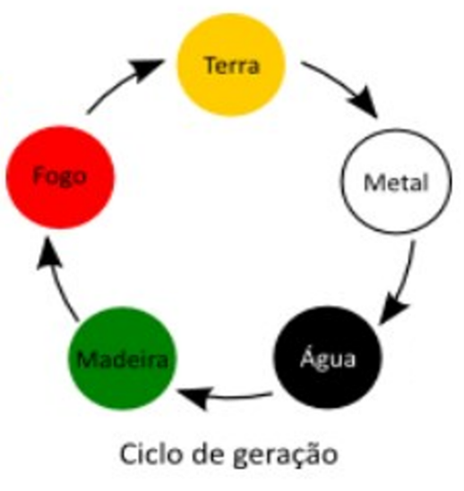 O correto ciclo de elementos to nem ai pra sua opinião - Metal 3 2 Do  Madeira Terra 1 TERRA IN Fogo Agua e fogo nao da em nada o fogo invapora